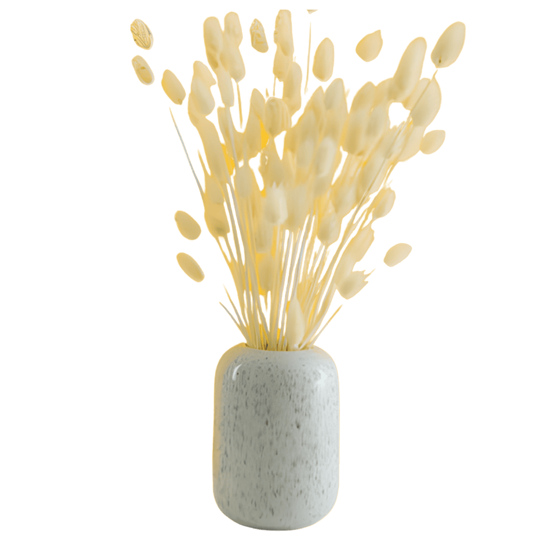 Dried Botanical Vase 2