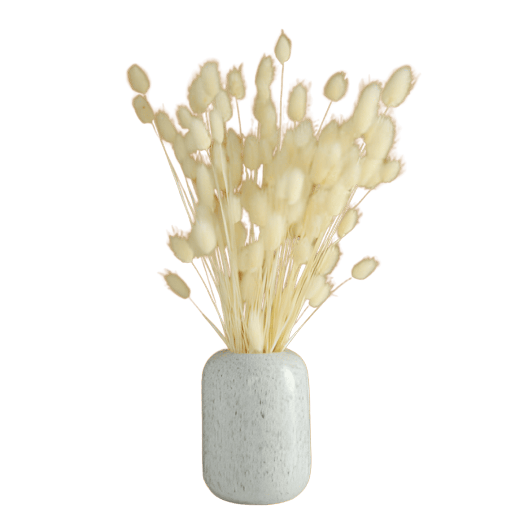 Dried Botanical Vase 4